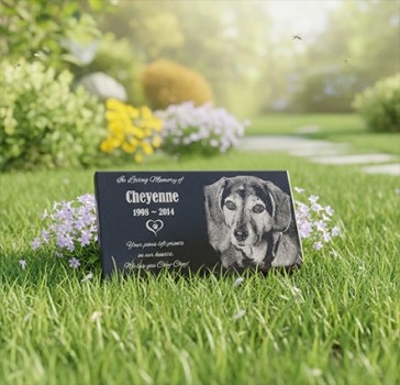 7 Meaningful Ways to Honor Your Dog After They Pass