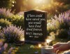 Top 20 Heartfelt Quotes for Your Dog's Memorial Stone